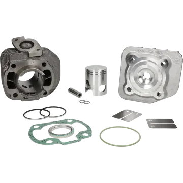 Zylinder mit Zylinderkopf -Malossi 50 Sport- Minarelli AC liegend 318562