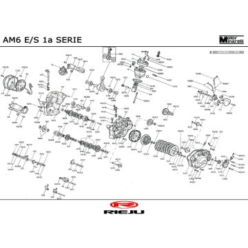 Motor Rieju Rs1 gelb- blau 2001 2-Takt