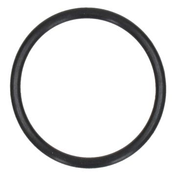 O-Ring 25x2 SYM original 91304-M36-000
