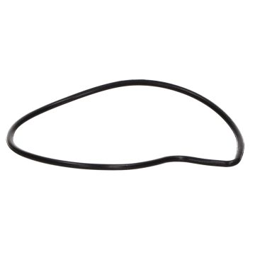 O-Ring für Wasserpumpe Piaggio Motorblock 4-Takt 125-180-200-200-250-300cc 485080 original