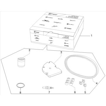 Komplettes Piaggo Zip 4-Takt-Wartungskit (Euro5-Injektion IGET)