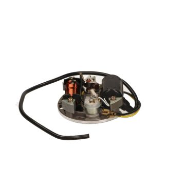 Zündung 6V17W Kreidler/Puch/Zündapp/Sachs 2 Kabel und Zündkerzenstecker