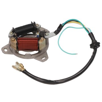Zündung/Stator 6 Kabel 1 Kabel Honda 50–80 cc 2-Takt AC/LC MB/MT/NSR/(MTX-Kabel muss verlängert werden) DMP