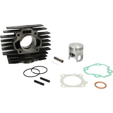 Zylinder Honda Camino PX 70cc 46mm 1190030 Polini