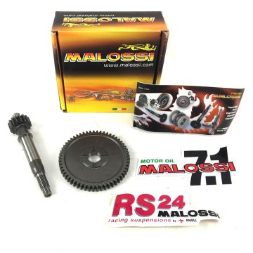 Primärachse Kymco People S/Agility 16 Malossi 6714189