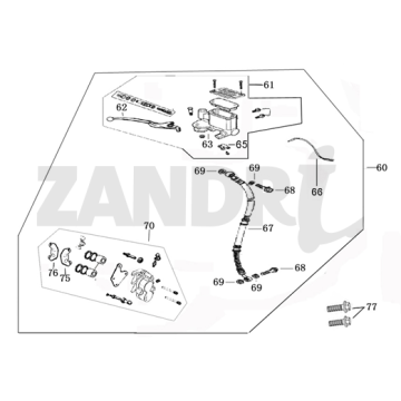 Hauptbremszylinder- Bremshebel - Bremsleitung - Bremssattel - Bremsbeläge Santini Capri 50 4T AC Braun