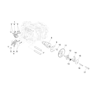 Nockenwelle - Nockenwellenrad - Gummistiefel Vespa GTS 300 Super HPE 4V IE ABS Euro 5 2020-2022