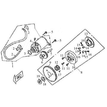 Anlasser Eagle-Wing Torino 125 4T AC