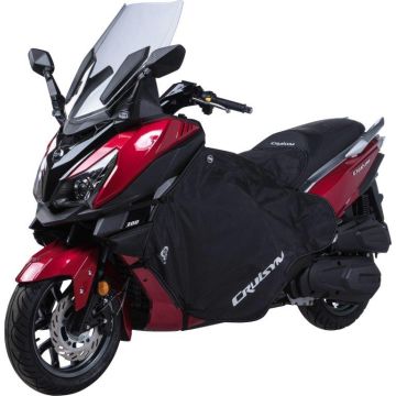 Ursprüngliche Abdeckung für das Sym Cruise System (Alpha) SY610-WA20644-1