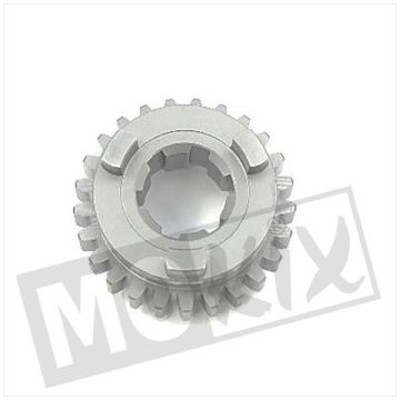 Kettenrad AM6 5e Versn Sekundär 2. Serie 25z TP