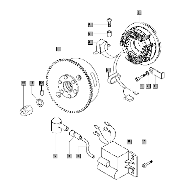 Ontsteking elektrische start Tomos STANDARD XL (L0-L1)