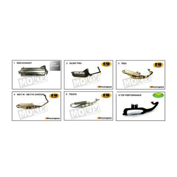 Auspuff Generic Roc Silber 2010 2-Takt 25
