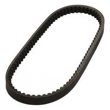 Keilriemen Dayco 16,8 x 808