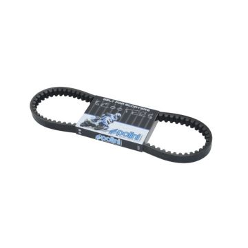 gürtel minarelli hor+vert polini 248.003