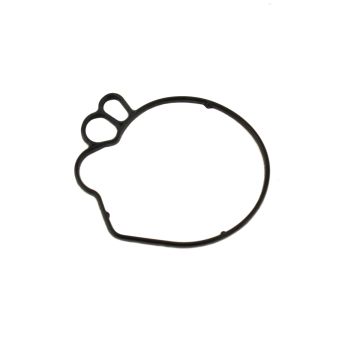 Schwimmerdichtung Vergaser Kymco DJ original