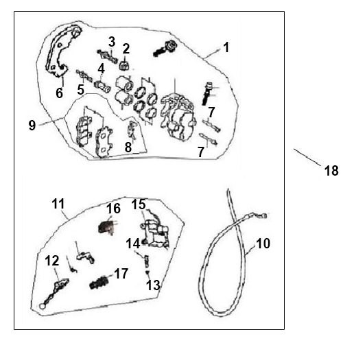 BTC Bellagio (12 Zoll) 8