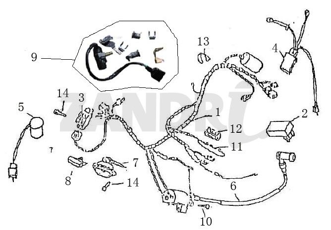 Kabelbaum Zündung BTC Grande Retro GT1 blau creme