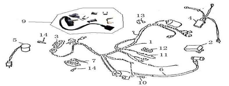 Kabelbaum China GT Champagner