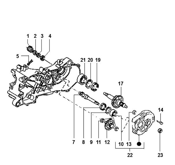 Getriebe Piaggio Typhoon 98-2005 2-Takt