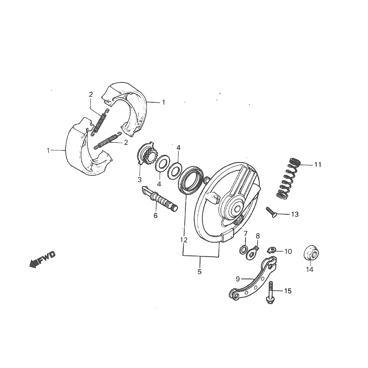 Vorderradbremse - Bremsbacken Honda MT50