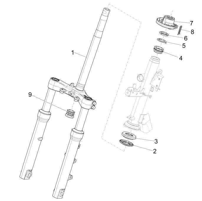 Vorderradgabel/Lenkrohr - Piaggio Medley 150 4T IE ABS E4 2016-2020 (EMEA) Lenklagergruppe