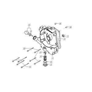 Sumpf Kymco Carry 4-Takt-Einspritzung euro4 weiß