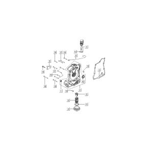 Sumpf Kymco New Sento 4-Takt 50i Gold