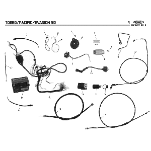 Elektroteile Rieju Pacific Grey 2009 2-Takt