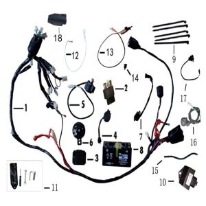 Elektronische Teile BTC CEO New