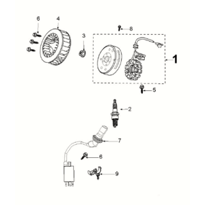 Zündung — Stator — Schwungrad — Zündspule — Pick Up Peugeot Kisbee 4-Takt Euro 5