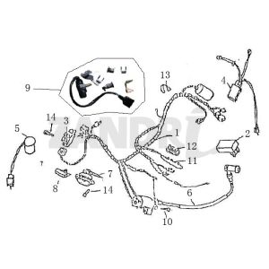 Kabelbaum Zündung BTC Grande Retro GT1 Kaffeesahne