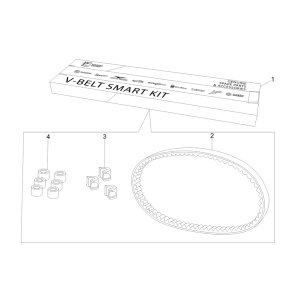 Keilriemensatz - Variomatikrollen Piaggio Typhoon 50 2-Takt Euro 3 2011
