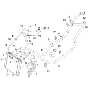 Kühlsystem Piaggio MP3 300LT Sport 2009-2014
