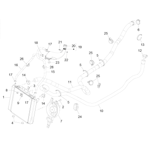 Kühlsystem Piaggio MP3 350 Maxi Sports E4 ABS 2018-2020 (EMEA)