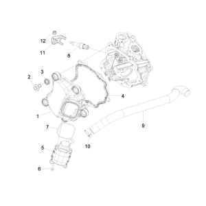 Schlägerhaube Piaggio MP3 300LT Sport 2009-2014