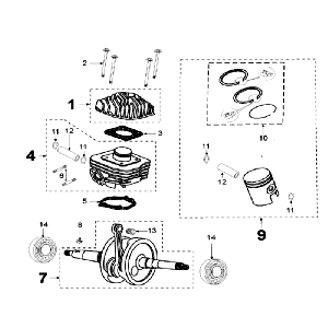 Kurbelwelle und Zylinder Peugeot Speedfight 3 AC Grau