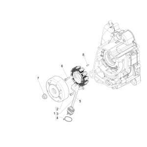 Magnetschwungrad Piaggio Zip 50 SP 2006-2013