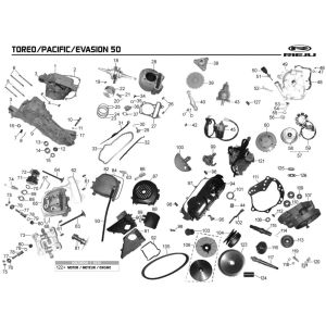 Motor Rieju Pacific grau 2009 2-Takt