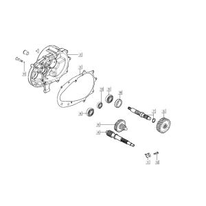 Übertragung AGILITY CITY 16 4T 125