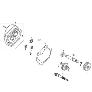 Übertragung GY6 10/12 Zoll (EURO 2; VOR 2018)-Overbrenging GY6 10 inch
