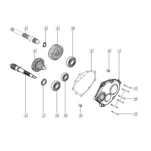 Übertragung Kymco Downtown 300i weiß