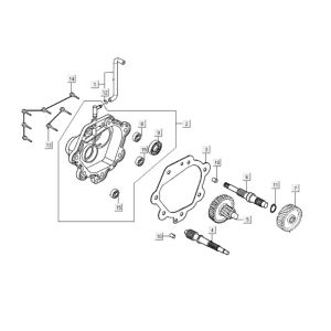Getriebe Kymco Grand Dink 250cc