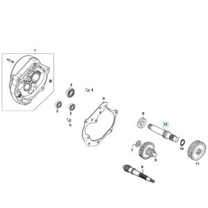 Getriebe Znen ZN50QT-11 4-Takt