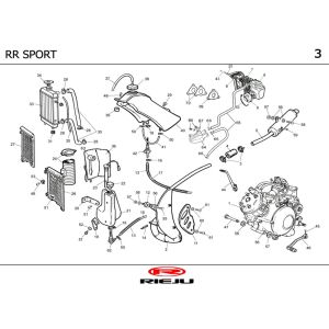 Kühler- Auspuff Rieju RR Sport schwarz 2004 2-Takt