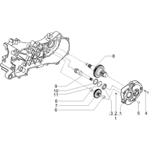 Reduziergruppe Gilera Runner 50 SP 2010-2017
