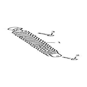 Stoßdämpfer China GT rosa