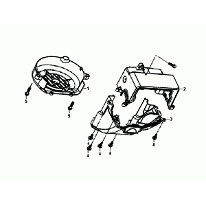 SCHWUNGRAD Hülle SYM Fiddle III Euro4