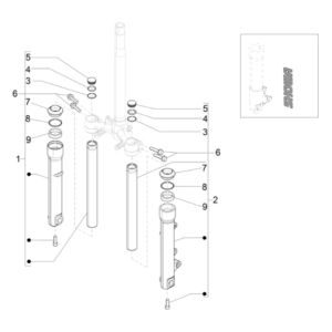 Vorderradgabel (Showa) Piaggio Liberty 125 4-Takt 3V IE ABS (IGET Euro 5)