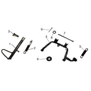 Seite - Haupständer China GT Champagner