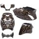 Verkleidungskit SP Look EVO-1 Piaggio Zip 2000→50cc 2/4-Takt Forged Flocken schwarz/gold